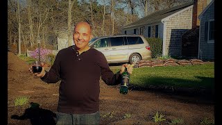 Vito's 2021 Cape Cod Landscape Project