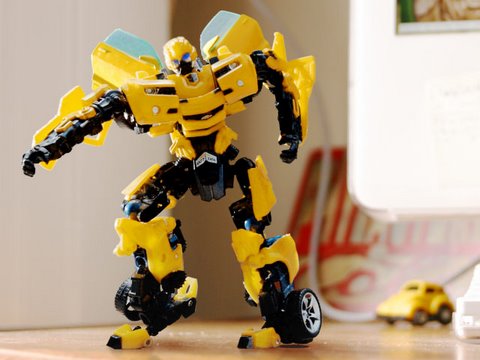 Bumblebee boy