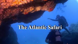 Lanzarote scuba diving , The Atlantic Safari , dive 2 , july 2023.