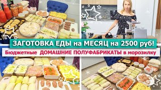 ❄️ЗАГОТОВКА ЕДЫ НА МЕСЯЦ в МОРОЗИЛКУ😋 Бюджетные ДОМАШНИЕ ПОЛУФАБРИКАТЫ🌿Мясорубка Wollmer M905X-Power