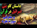 داستان گاو بنی اسرائیل در سوره بقره و معرفی این سوره 