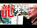 龍が守護する人、しない人とは？お経に隠された龍とは？
