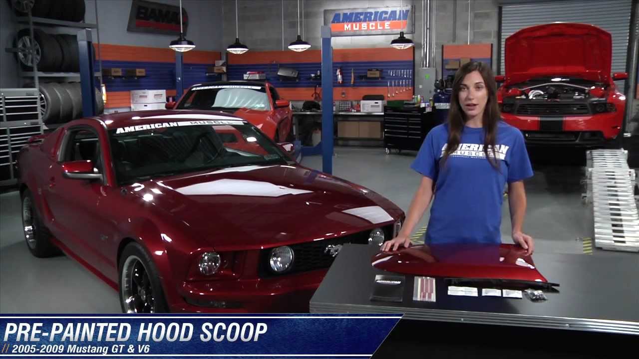 I Need The Hood Of My Car Painted I Need The Hood Of My Car Painted