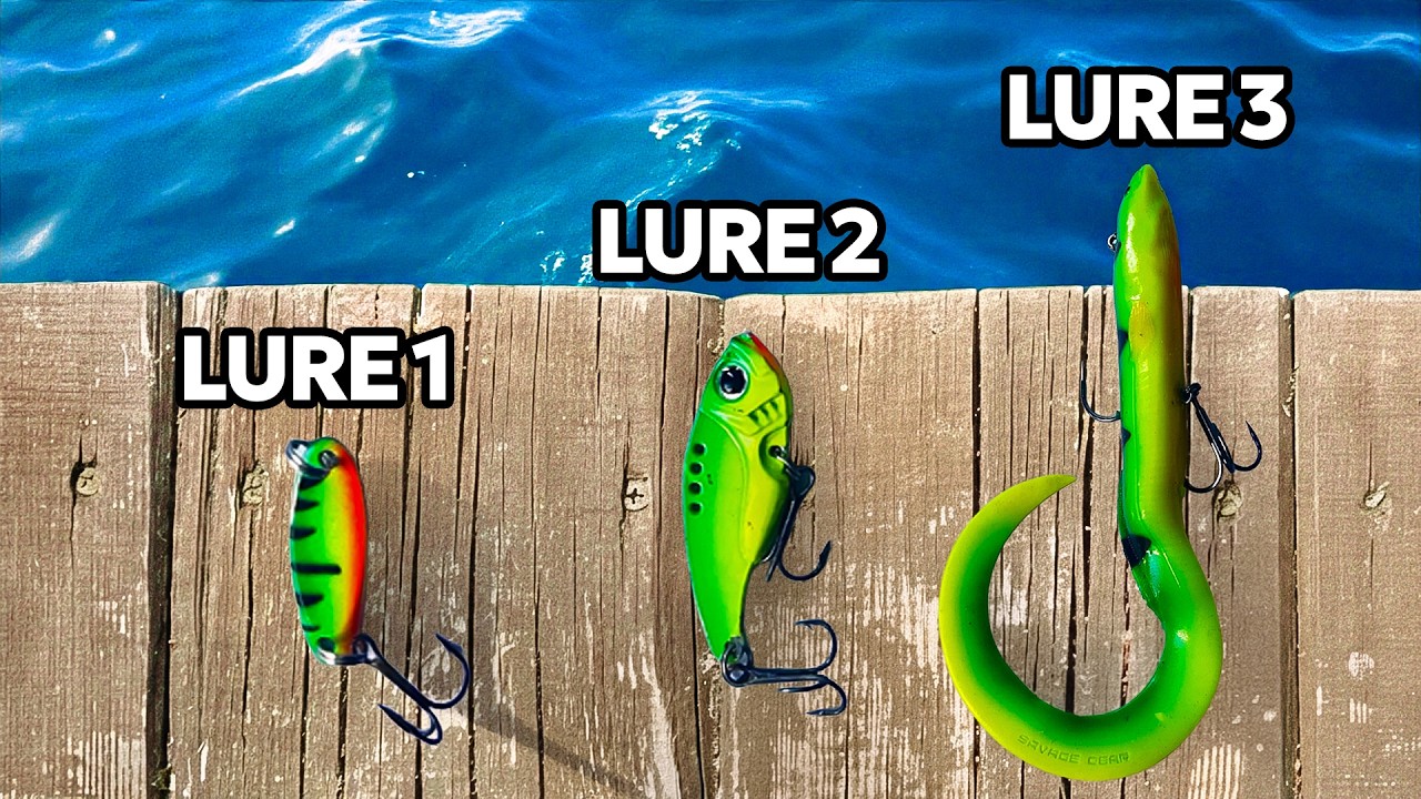 Every Fish I Catch the Lure Gets BIGGER