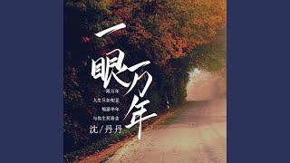 一眼万年 (DJ童波版) - 沈丹丹