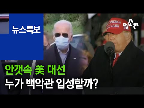 안갯속 美 <strong>대선</strong>…누가 백악관 입성할까?