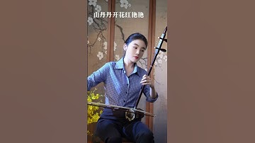 Thumbnail of 《山丹丹开花红艳艳》一道道的那个山来一道道水二胡 百听不厌 经典老歌