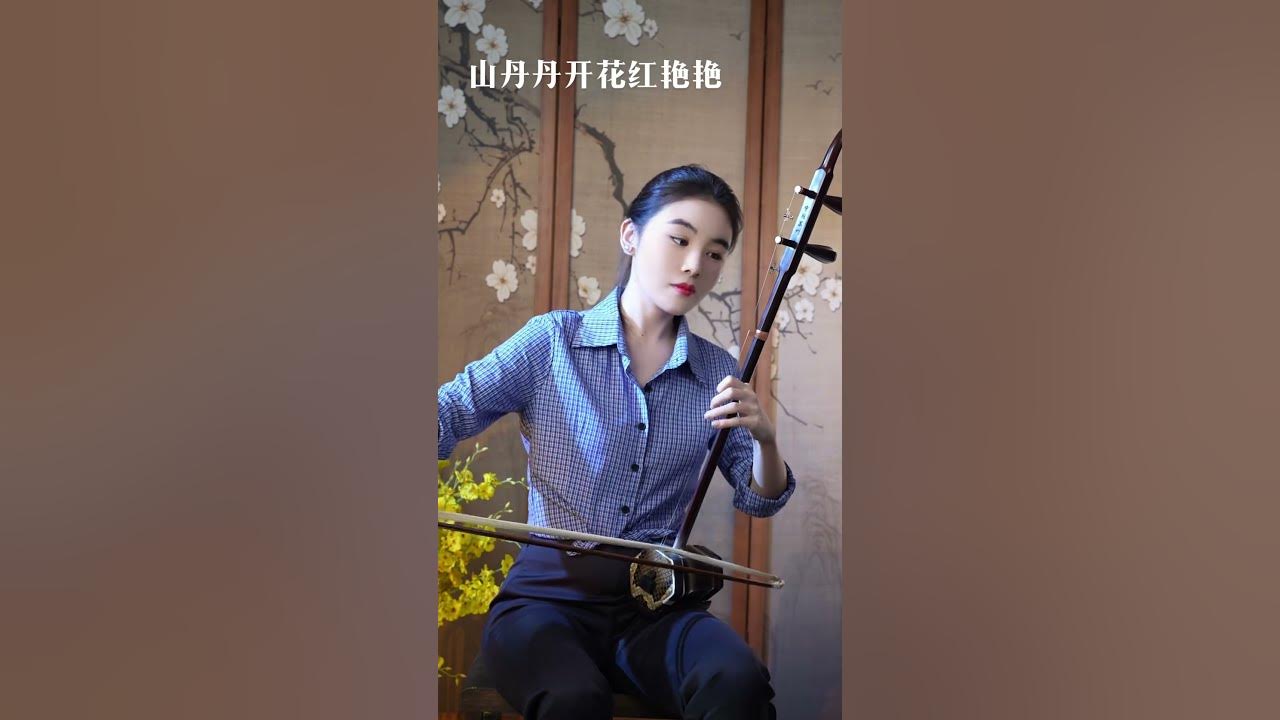 《山丹丹开花红艳艳》一道道的那个山来一道道水二胡 百听不厌 经典老歌