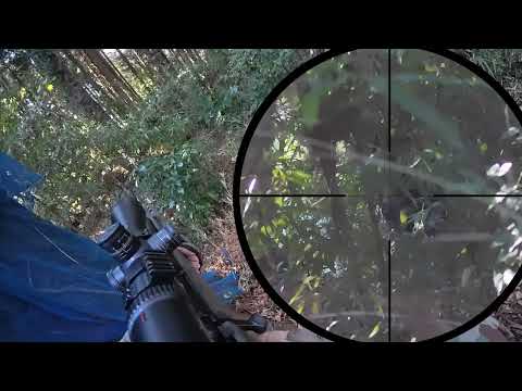 The enemy is using stealth camouflage!!! In Double Cross