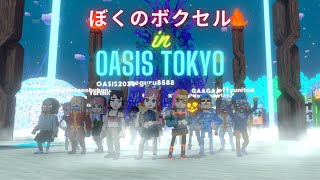 Video thumbnail of "OASISTOKYO ぼくのボクセル♪"