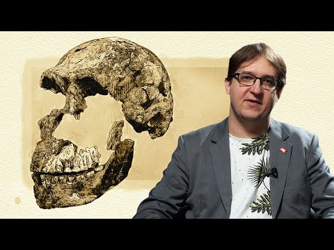 Homo naledi. Czy hominid o małym mózgu mógł grzebać zmarłych?