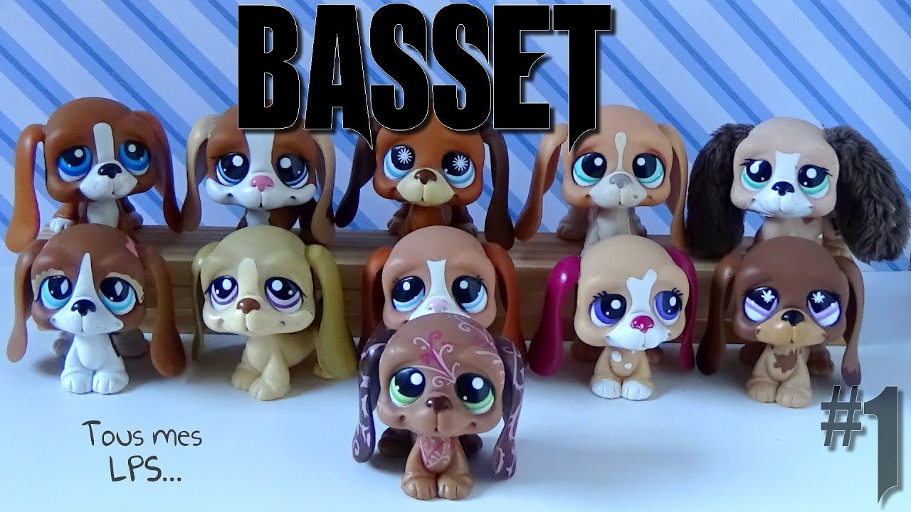 lps basset