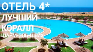 Египет Шарм Coral Beach Montazah хороший отель 4*