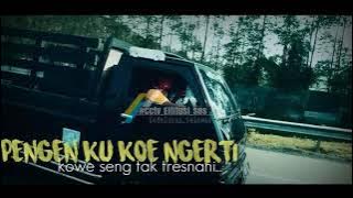 story wa - pengenku koe ngerti