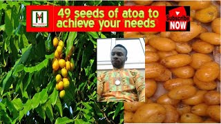 The Spiritual side/uses of Atoa. (Spondias mombin/Golden fruit) By OluMan