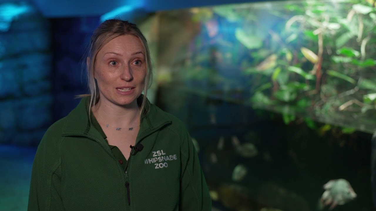 The Annual Stocktake 2025 | Whipsnade Zoo