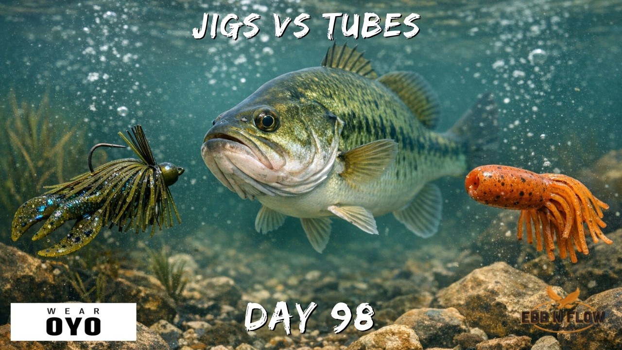 TUBES vs JIGS: The Underwater Truth for Cold Water Bass! (Comparison)