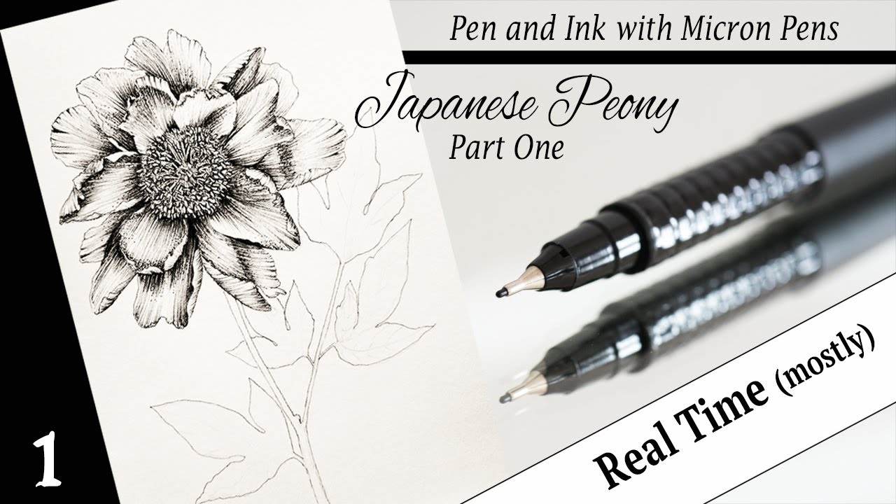 Drawing a Peony with Micron Pens (Real Time)