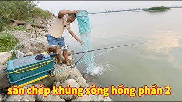 câu cá tại điểm nhiều chép khủng sông hồng ( phần 2 )