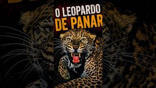 Leopardo de Panar #maneater #leopardo #fatosreais