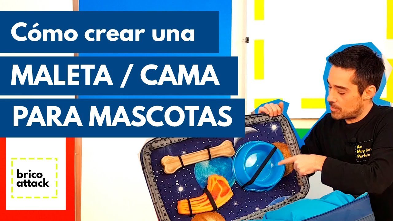 CAP 9/ 2T /COMO HACER UNA MALETA/CAMA PARA TU MASCOTA //BRICOATTACK -  YouTube