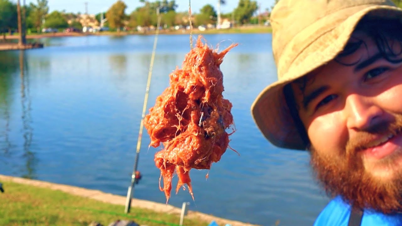 Catfishing the Day After the Stock! (Arizona Urban Pond) YouTube