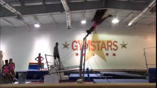 Giant full Reverse Hecht #2
