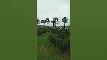 تلاوة خاشعة جدا من فضيلة الشيخ يونس اسويلص حفضه الله #youness_swiles #يونس_اسويلص #المصحف #quran #