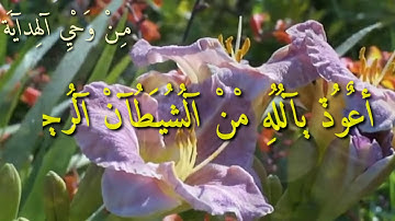 تلاوه هادئه من سورة البقره شهر رمضان الذي انزل فيه القرآن