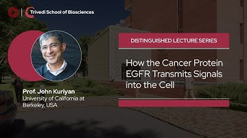 Distinguished Lecture Series | How Cancer Protein EGFR Transmits Signals into the Cell | TSB