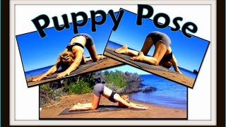 Yoga For Beginners Puppy Pose