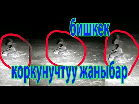 Video: Коркунучтун кудайы ким?