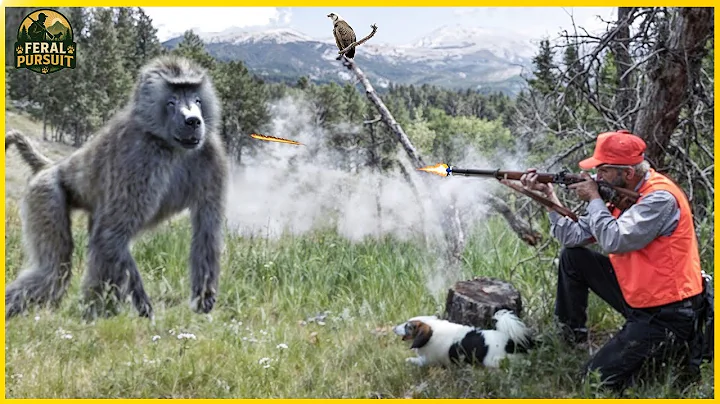 Baboons Invade – Rifle Hunters Confront Zimbabwe’s Smartest Invaders! | Invasive Species