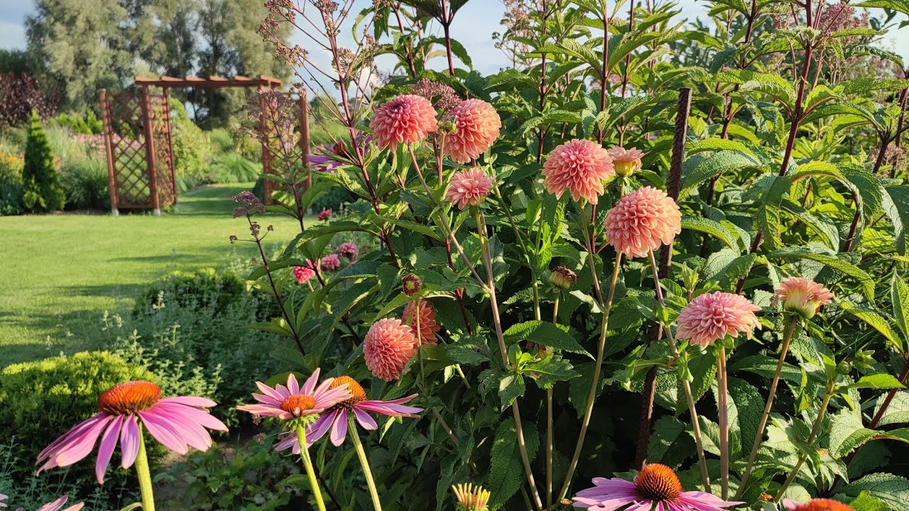 Spacer w ogrodzie 25.07.25 Mix tematyczny:)