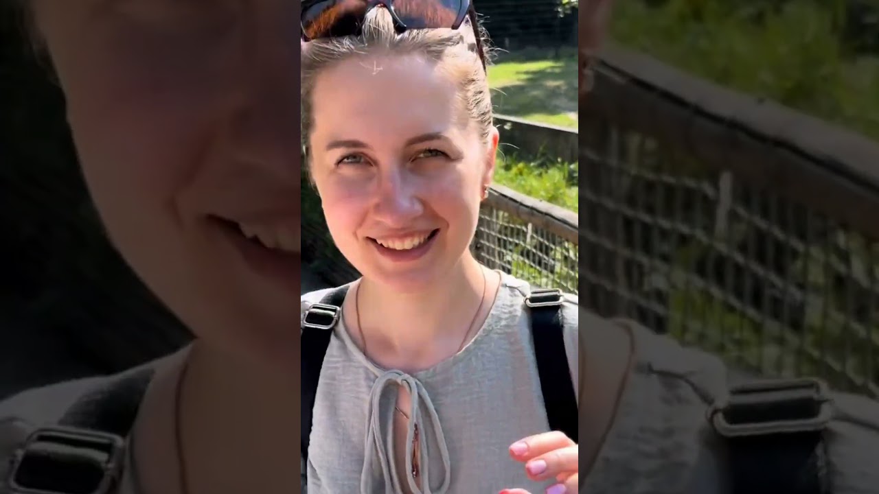 Discover Beekse Bergen Zoo: Safari Adventure in Hilvarenbeek | Top Attractions & Tips!