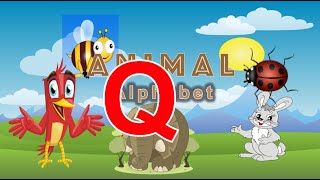 Q Animal Alphabet Learning animals name start with a letter Q A to Z pre-k education toddlers