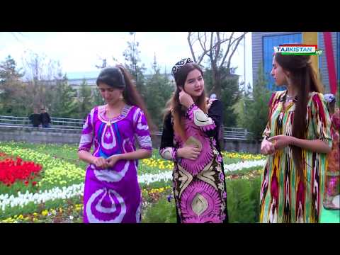 Сайри гули лола / Цветы Таджикистана / Tajikistan Dushanbe