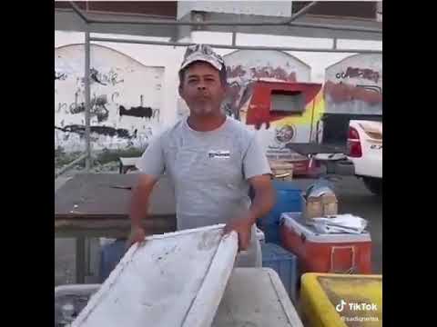 سمك مملكة البحرين