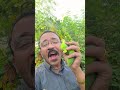 मैं अपना ज्ञान खुद यूज नहीं करता #funny #comedy #shortsfeed