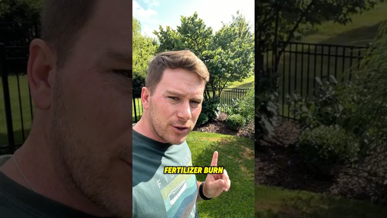 I have FERTILIZER BURN all over my lawn! 