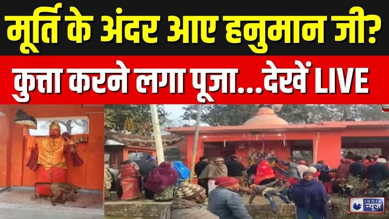 Dog Worship Hanuman Ji Live: 36 घंटे हनुमान जी की परिक्रमा लगा रहा कुत्ता | Breaking | India News