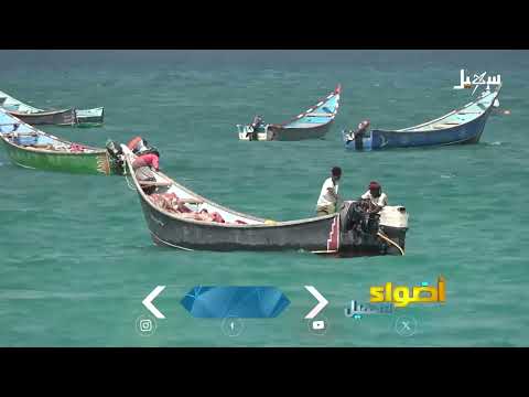 تدهور الثروة السمكية في شبوة: صيادون يناشدون بالتدخل