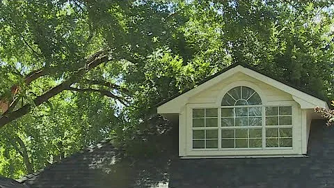 Salado homeowners dealing with damage after storms