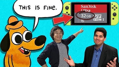 32 GB is Perfect for the Nintendo Switch - Internal Storage is Not The Issue