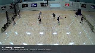 Sharks Box - Ping Drill