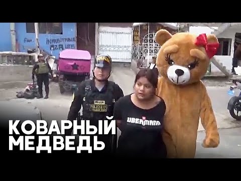 Арест на 14 февраля: как медведь-полицейский выманивал наркоторговку