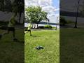 Runner.. Racing The Traxxas Rustler 4x4 vxl 🔥#fun #rc #fyp