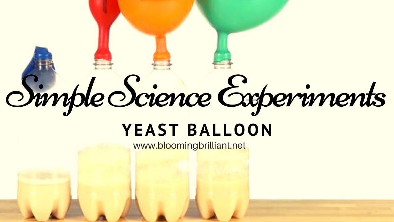 Simple Science Experiments for Kids S2 E11 Yeast Balloon - YouTube