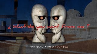 What Do You Want From Me | Pink Floyd | Cover