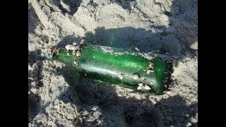 A Message in a Bottle? Beach Metal Detecting - Emerald Isle, NC